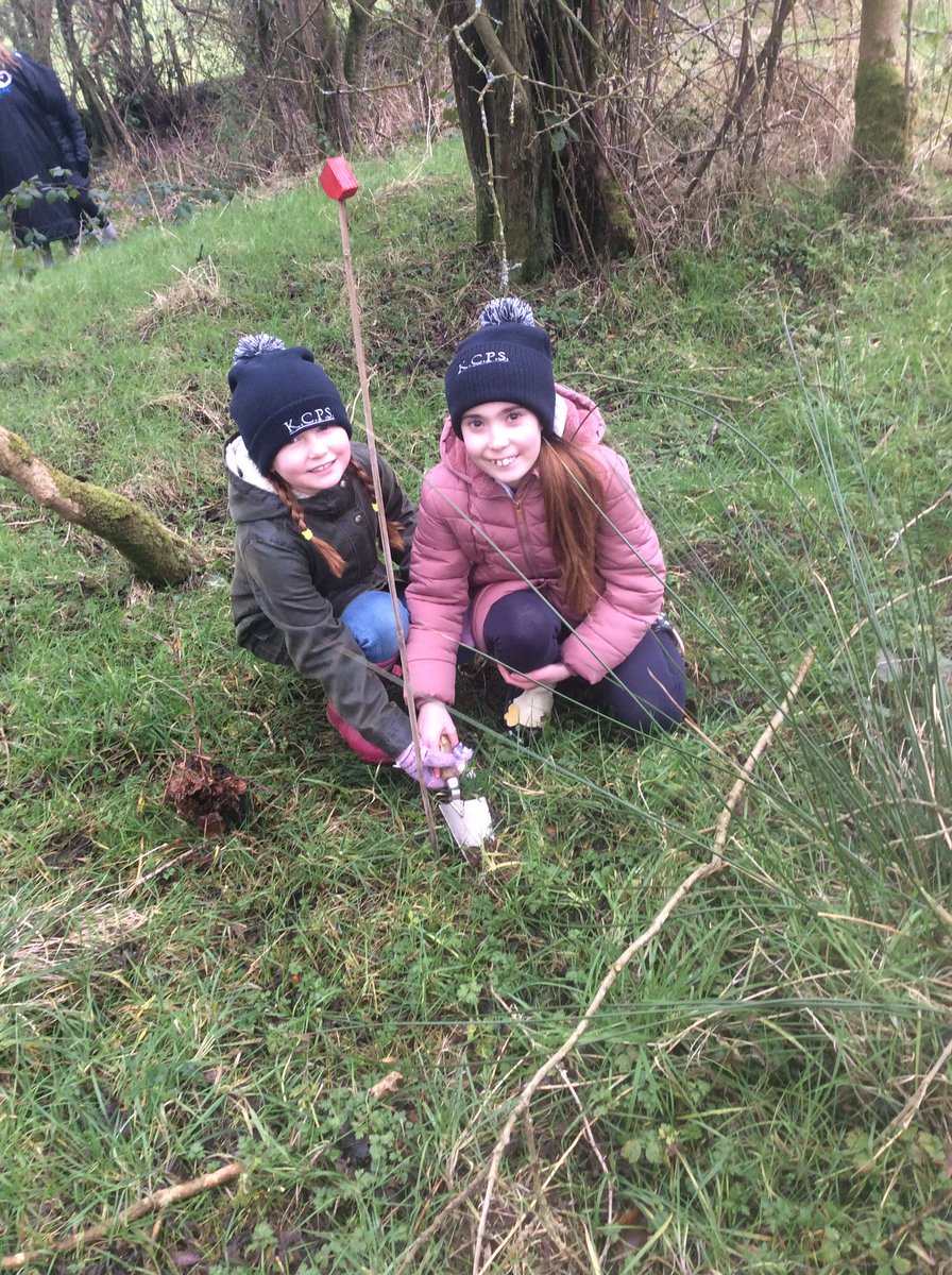 Kilbride Central PS tweet media