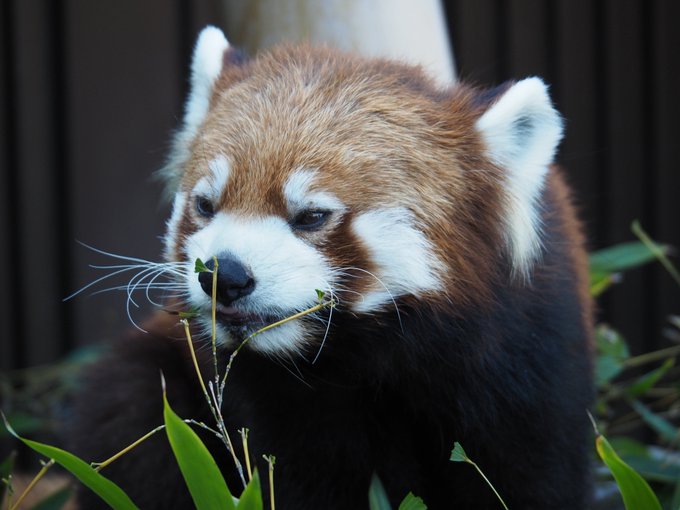 2月2のtwitterイラスト検索結果