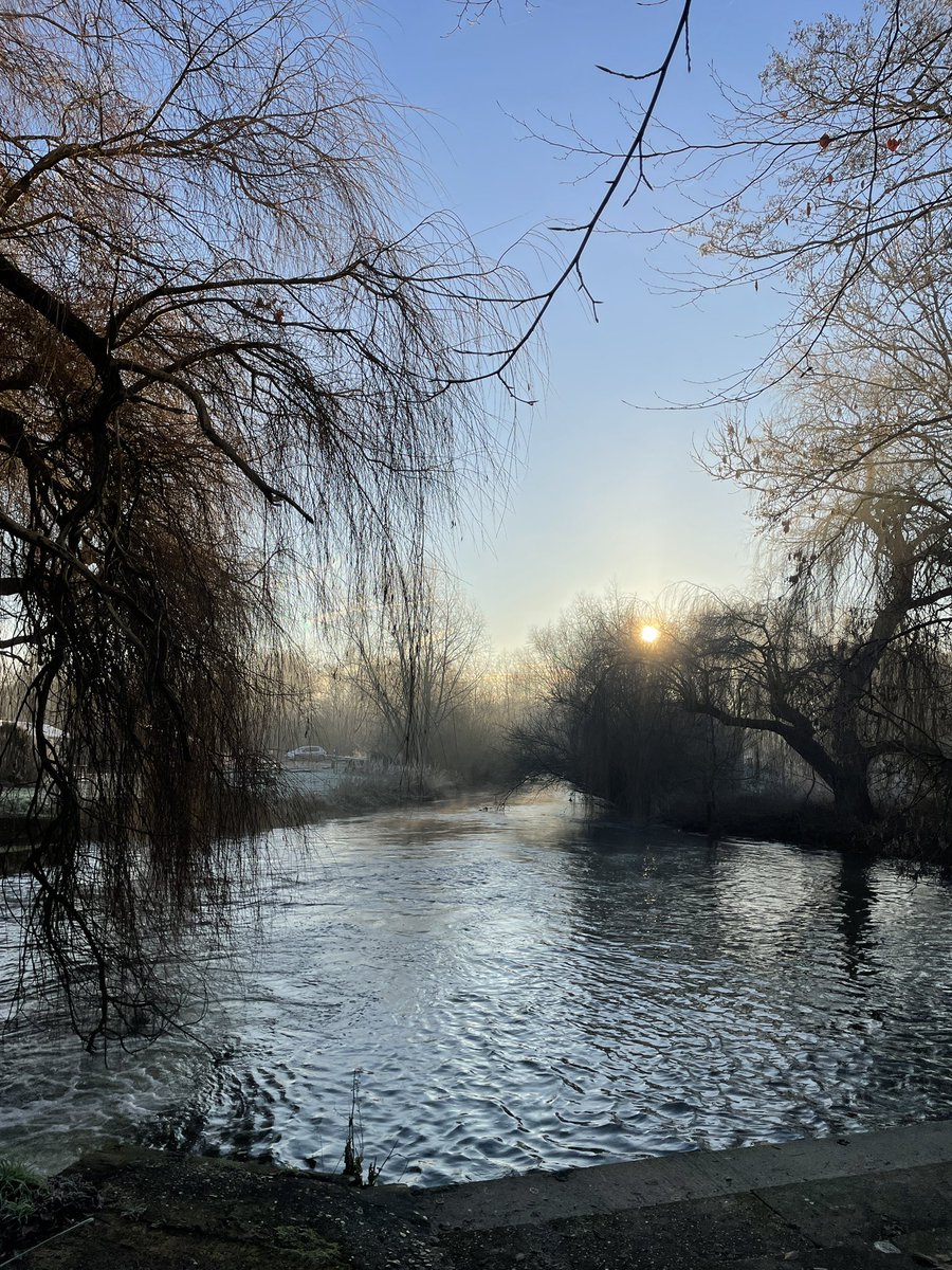 Taverham Mill tweet media