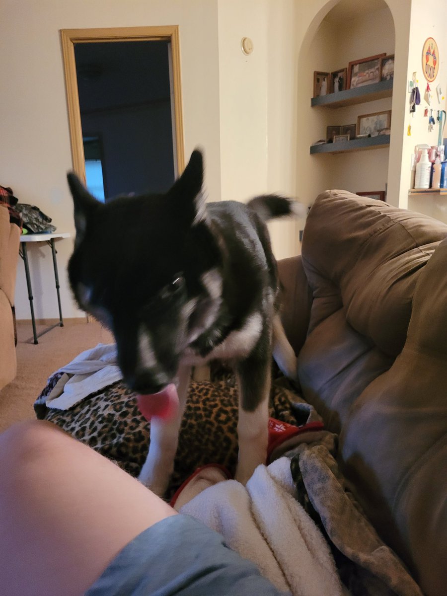 senseifireninja tweet media