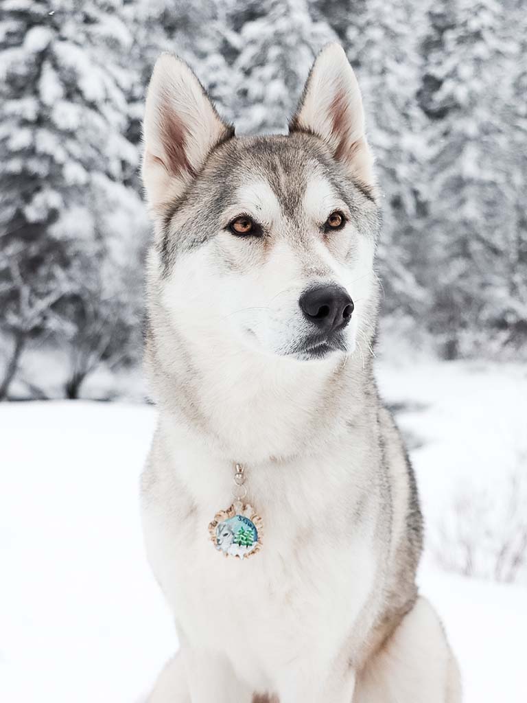 Studio Zorya tweet media