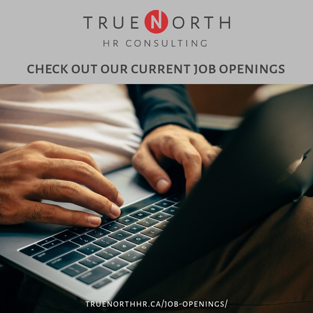 Are you searching for that next great career opportunity?  Check out the #TrueNorthHR job board!

truenorthhr.ca/job-openings/ 

#jobs #careers #employment #nowhiring #hiring #employers #jobboard #joblistings