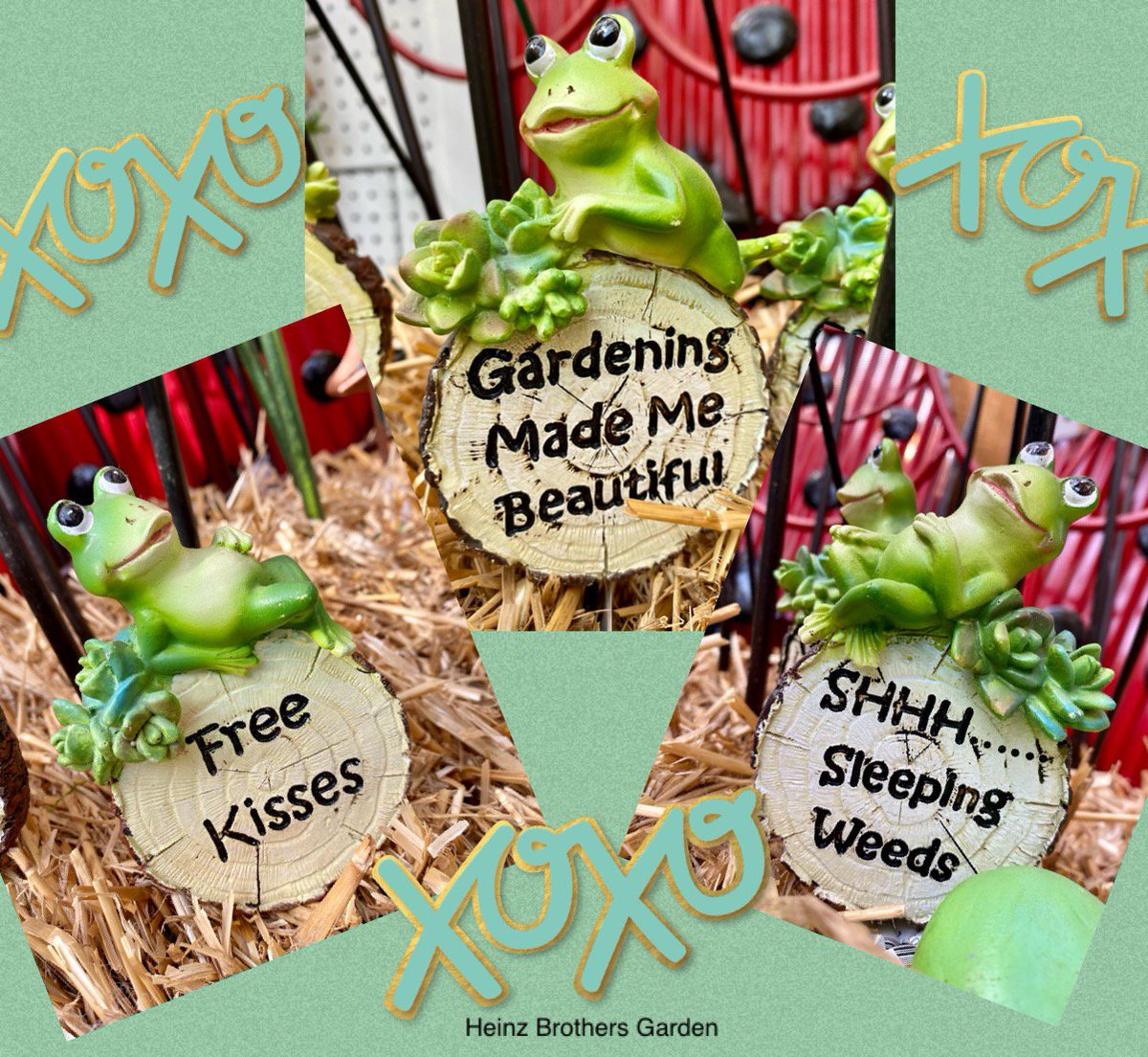 heinzbrosgarden's tweet image. “Hoppy” 🐸 Saturday from these three cute plant pot stakes!! 
#heinzbrothersgarden 
#gardencenter 
#gardendecorations 
#plants