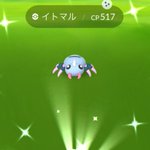 ポケモンgoで ゴマゾウ が話題に ポケgo トレンディソーシャルゲームス