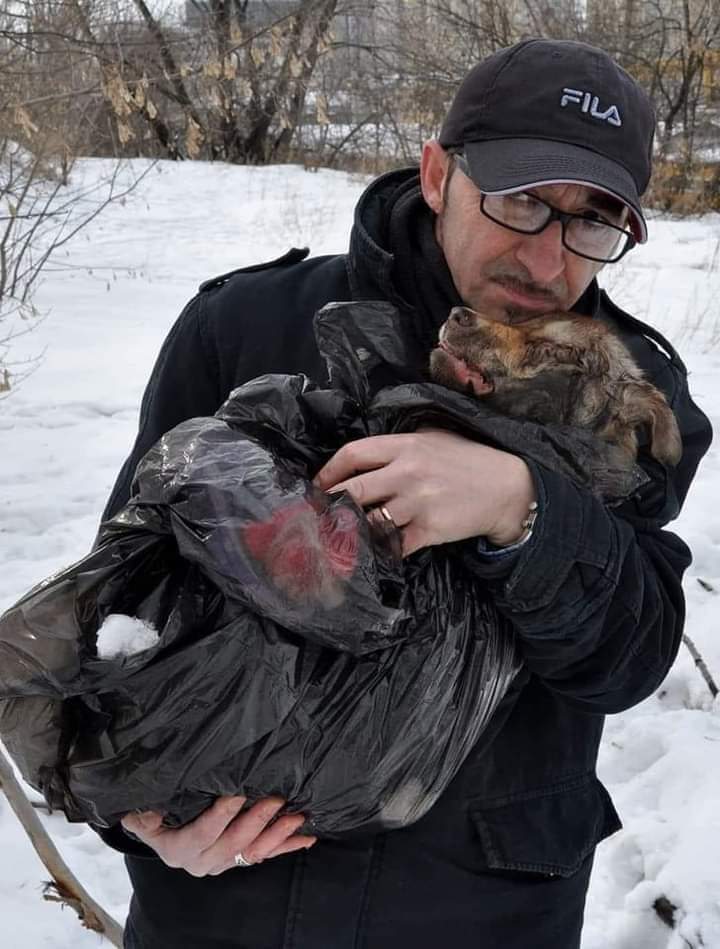 DefnotVave's tweet image. Andrea Cisternino stays in Ukraine to protect stray dogs. He doesn't give up his mission even in times of war! All my respect for this great man! 🙏🇺🇦 #WARINUKRAINE #Ukraine #UkraineRussia #UkraineUnderAttack