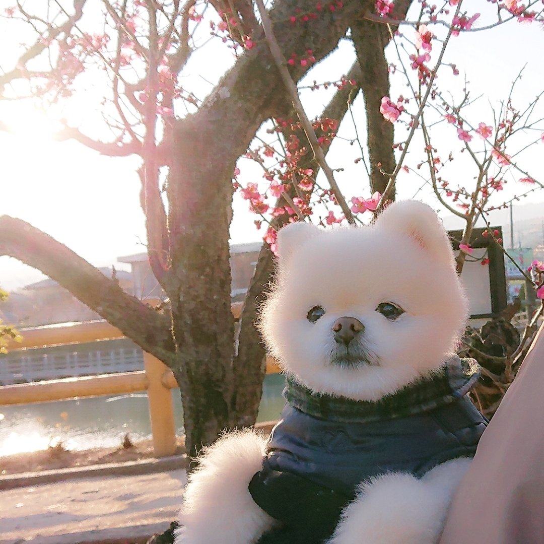 ポッカポカ🐶😊☀️