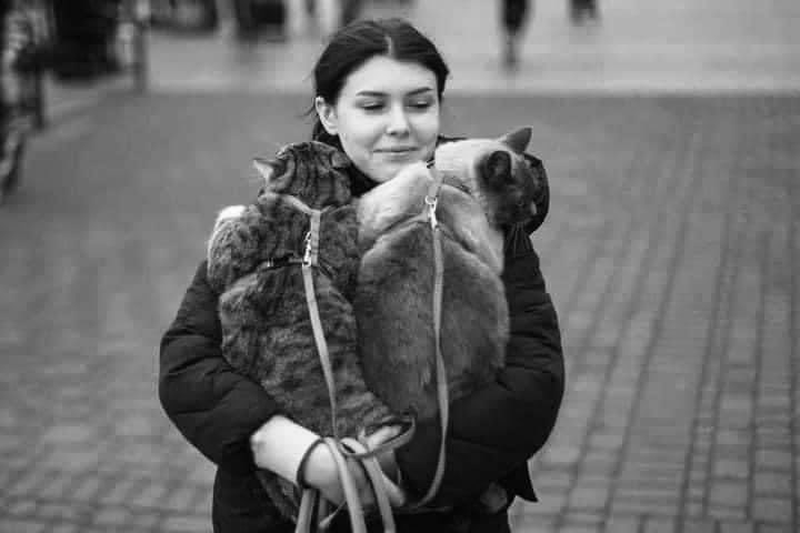 O_Toots's tweet photo. While news anchors speak of casualties among men, we tend to forget that there are also (farm)animals in these war zones, afraid and in despair, hoping not to be left behind or die … 

🕊

#animalsinneed #animalsinwarzones #family #stopthewar #warisnevertheanswer https://t.co/gEqGSViRL2