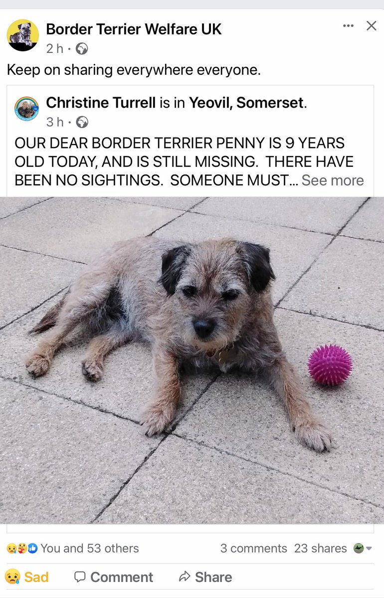 PrincessMavisM1's tweet photo. This is my friend Penny. Please keep a lookout for her! https://t.co/pC6Uj9xGjW