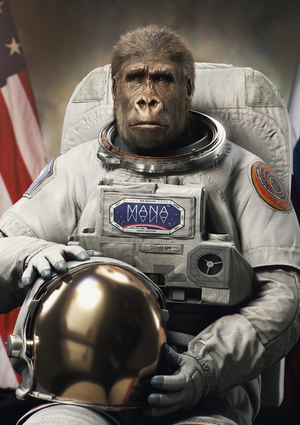 Can’t run? Walk into the future for our gorillas, do a virtual race, prevent against poachers. Follow the link and view the virtual races available, from 5k’s to counting your steps everyday, there’s something for all fitness levels! Photo credit: Thomas Kral #Future #Gorillas