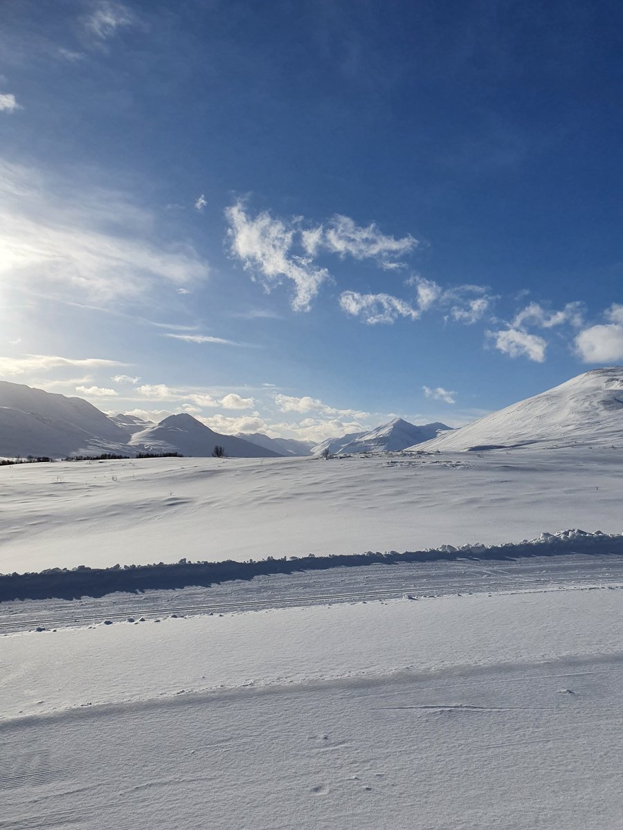 JulliJul's tweet photo. Dalvik - Iceland. Sun, good snow,  best mountains and perfect weather today #skiing #Iceland @Bergmenn @arcticheli #dalvik
https://t.co/qOIJuOgyl8 https://t.co/NiPridE9m5