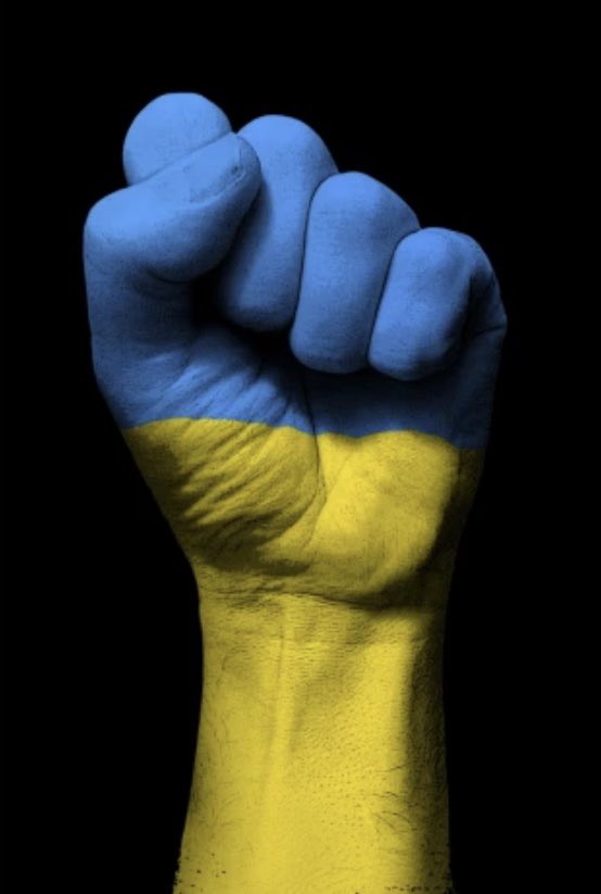 langetto's tweet photo. Ordinary women, men and children take up arms and fight in the streets of Ukraine to defend their country and their families… 

We’ve successfully fought for two years to vanquish face coverings!  #1stworldproblems  #someperspective. https://t.co/ffk3fI6ZTL