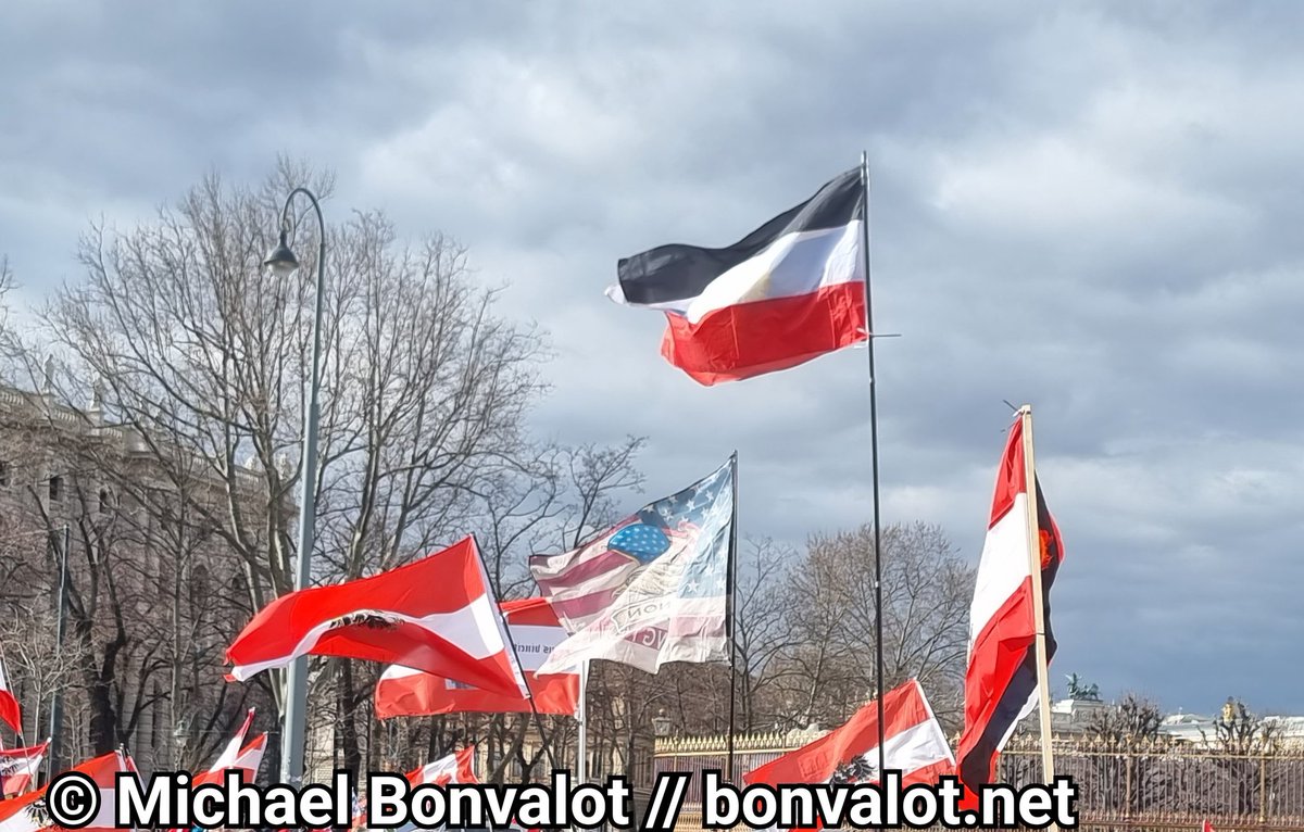 MichaelBonvalot's tweet photo. Das ist der Aufmarsch der Corona-Leugner*innen am 26. Februar in Wien: Mehrere russische Fahnen, eine Fahne des deutschen Reichs, antisemitische Qanon-Fahnen und der monarchistische Doppeladler. Es ist eindeutig: Das sind extrem rechte Aufmärsche.
#w2602 https://t.co/lGJYMfp4hs