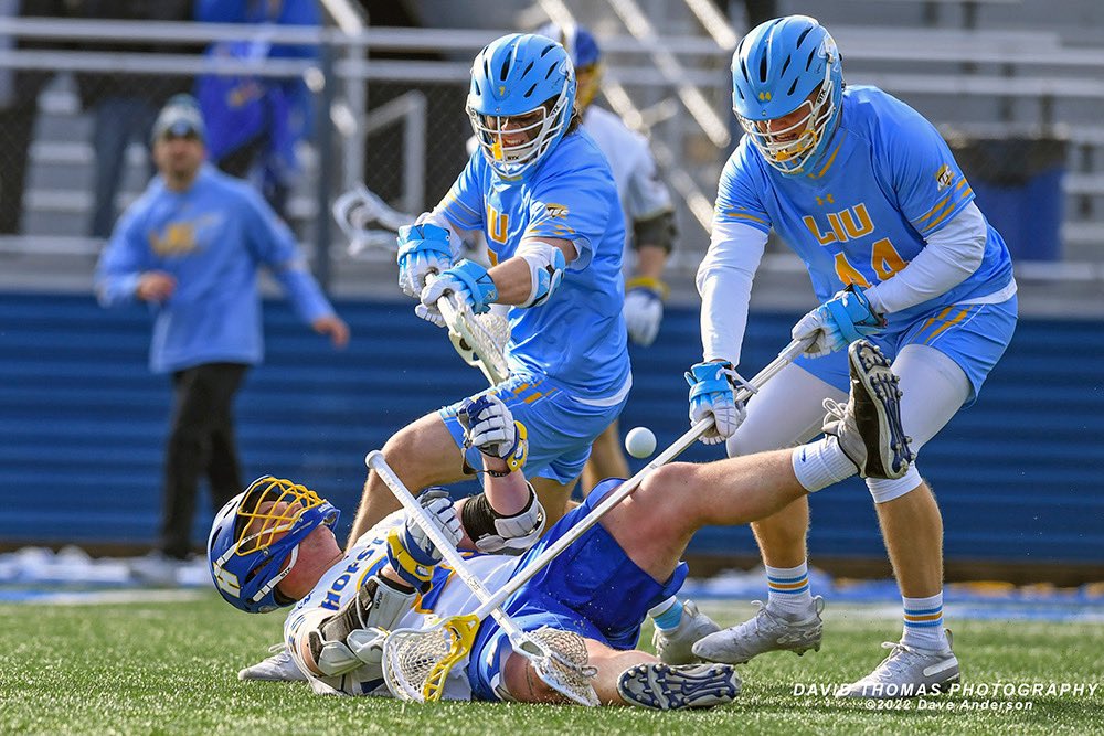 Captdav50's tweet photo. First Long Island Cup Mens Lacrosse LIU vs Hofstra Stonybrook vs St Johns. LIU will face @StonyBrookMLAX  tomorrow at noon for the cup https://t.co/BwTqeSV4lY https://t.co/6RYa1ADZgM