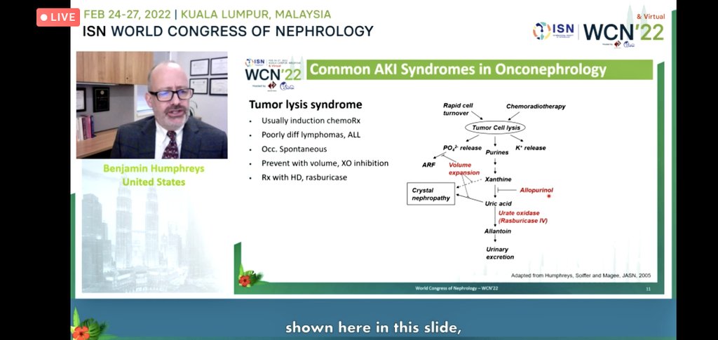 Sourabh Sharma (@iamnephrologist) on Twitter photo ♨️Common AKI Syndromes in Onconephrology
🔥Cisplatin induced AKI
🔥TMA
🔥TLS
#ISNWCN
<a href="/ISNWCN/">World Congress of Nephrology</a> <a href="/ISNkidneycare/">Int Society of Nephrology</a> <a href="/ISNeducation/">ISN Education</a> ♨️Common AKI Syndromes in Onconephrology
🔥Cisplatin induced AKI
🔥TMA
🔥TLS
#ISNWCN
<a href="/ISNWCN/">World Congress of Nephrology</a> <a href="/ISNkidneycare/">Int Society of Nephrology</a> <a href="/ISNeducation/">ISN Education</a>