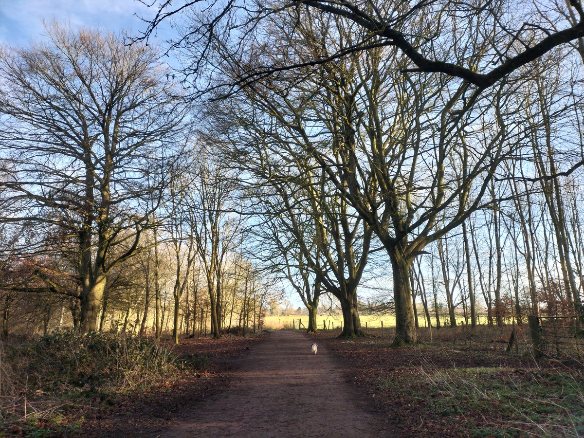 BathRunner's tweet image. Who was parkrunning this morning? Such a beautiful day!