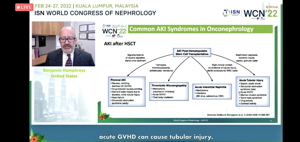 iamnephrologist's tweet photo. ♨️Common AKI Syndromes in Onconephrology

🔥Post HSCT AKI
🔥Sinusoidal obstruction syndrome

#ISNWCN
@ISNWCN @ISNkidneycare @ISNeducation https://t.co/fKByo1YVcT