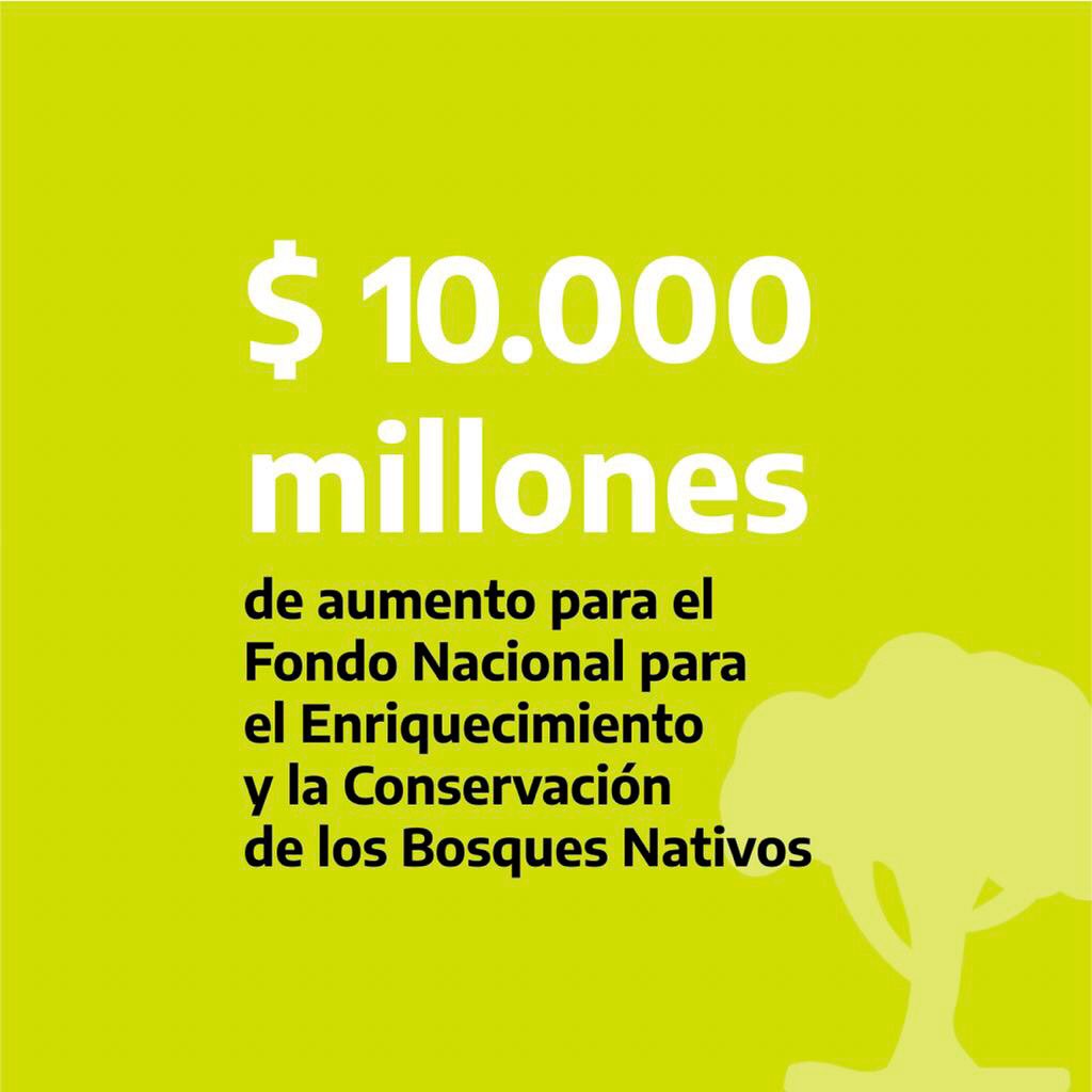 juancabandie's tweet photo. Ayer en Corrientes, junto al presidente, @alferdez, anunciamos un importante aumento presupuestario que nos va a permitir fortalecer la conservación y la restauración de bosques nativos incendiados. https://t.co/HzCn11qPTU
