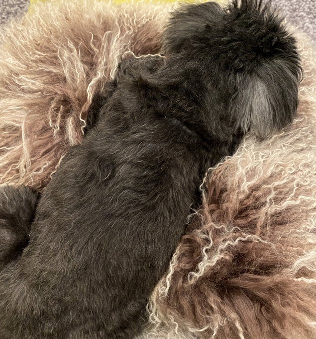 膝の上 高画質 のtwitterイラスト検索結果 古い順