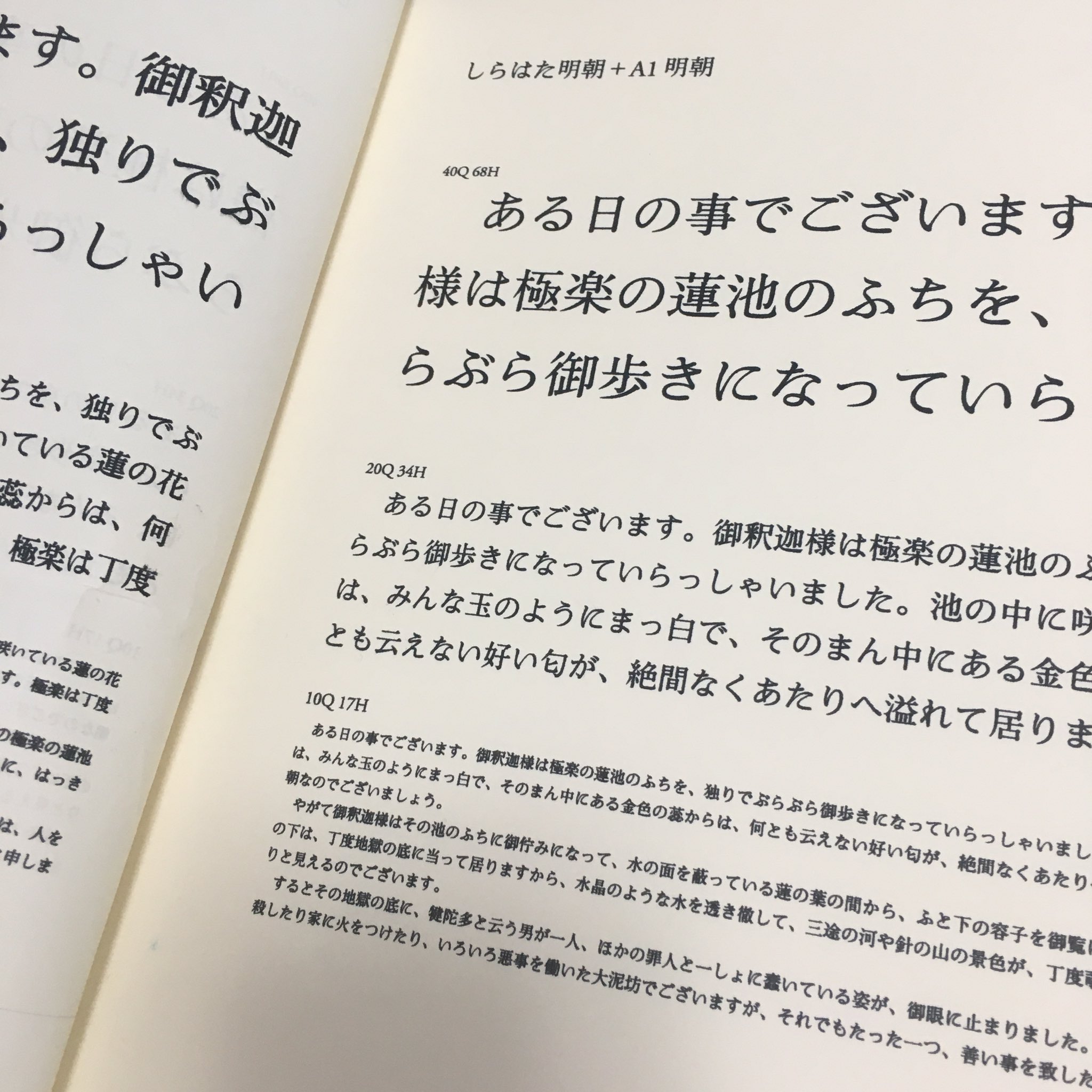 34 割引スペシャルオファ 26 Kazu様 植物 観葉植物 インテリア 住まい 小物 Aci Md