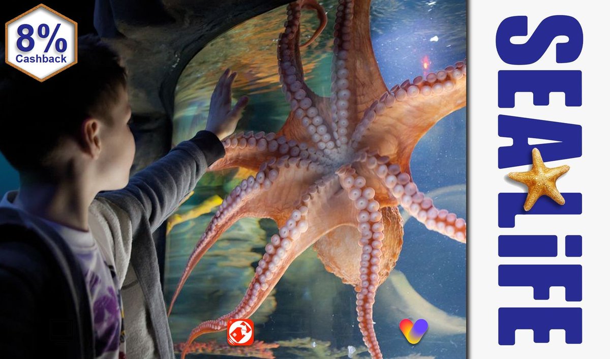 8% Cashback Online <a href="/SEALIFEcentre/">SEA LIFE Blackpool</a> Discover Under Water Wonders!  🦭🦈🐠👨‍👩‍👧‍👦🔎👩‍🏫 cashbackapp.com