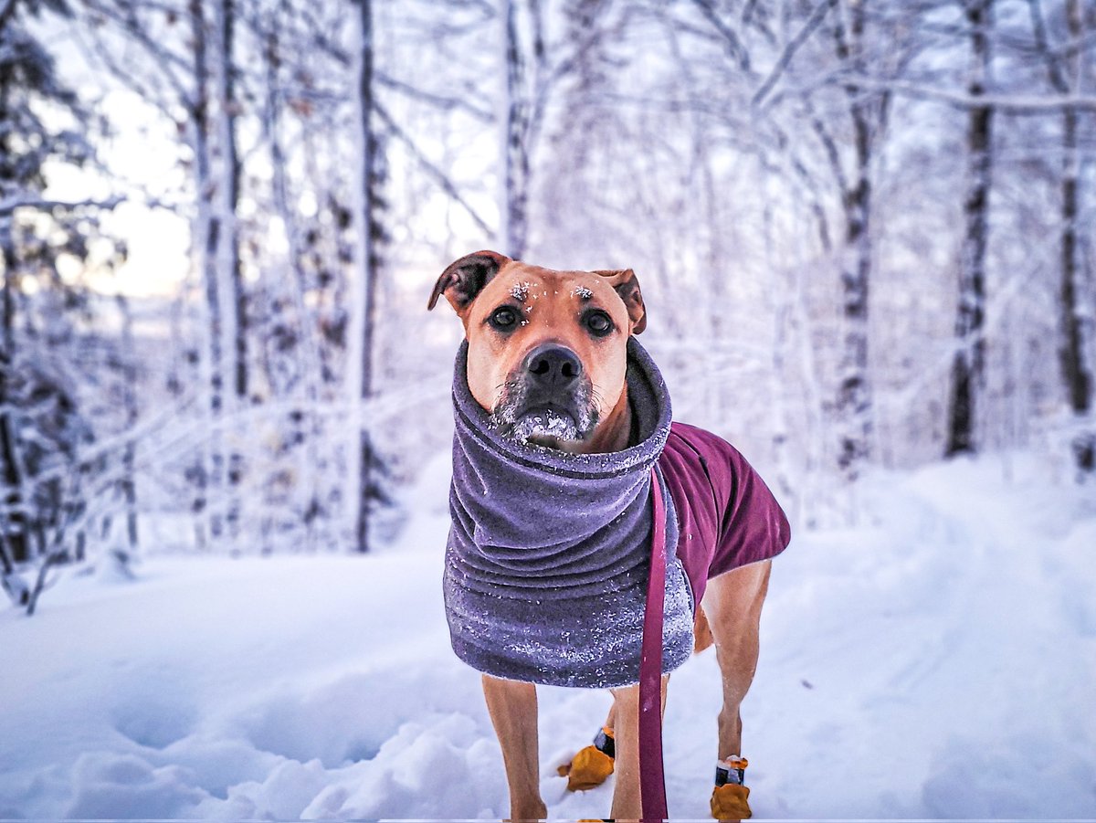 It's officially the weekend! Time to drink wine and relax! And tomorrow,  we hike!