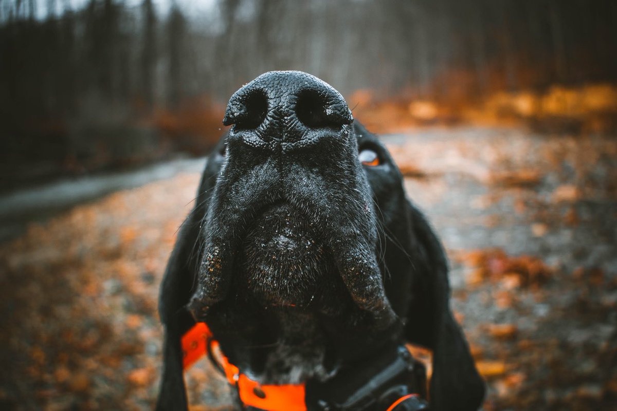 Mybrightsummit tweet media