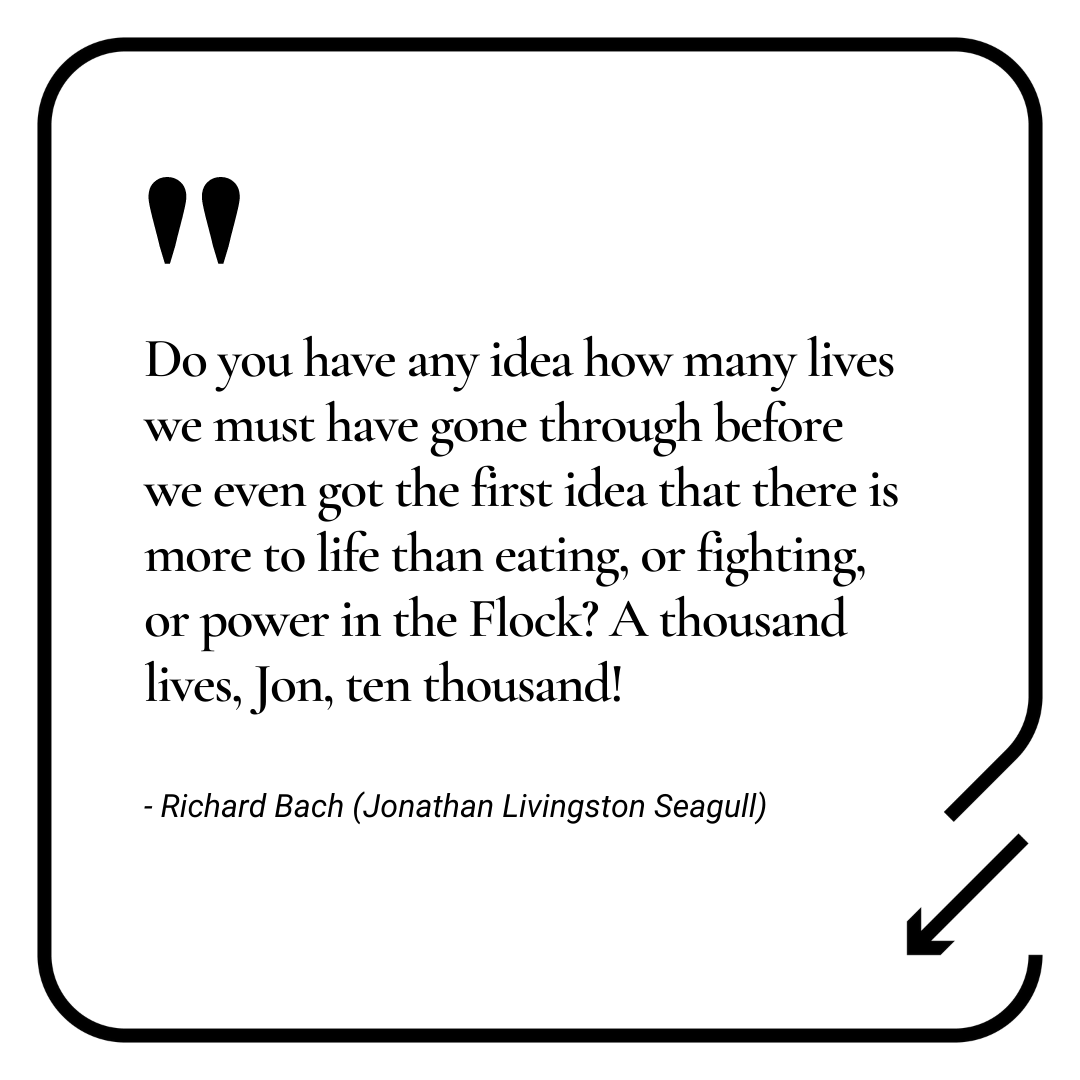 cocreate_space's tweet photo. In last week's newsletter we recommended a book by Richard Bach - Jonathan Livingston Seagull.

I'm (@raphymendoza) currently reading The Ferret Chronicles by the same author, which so far also comes highly recommended!

Do you have a favourite book you'd like to share? https://t.co/7v504JABpA