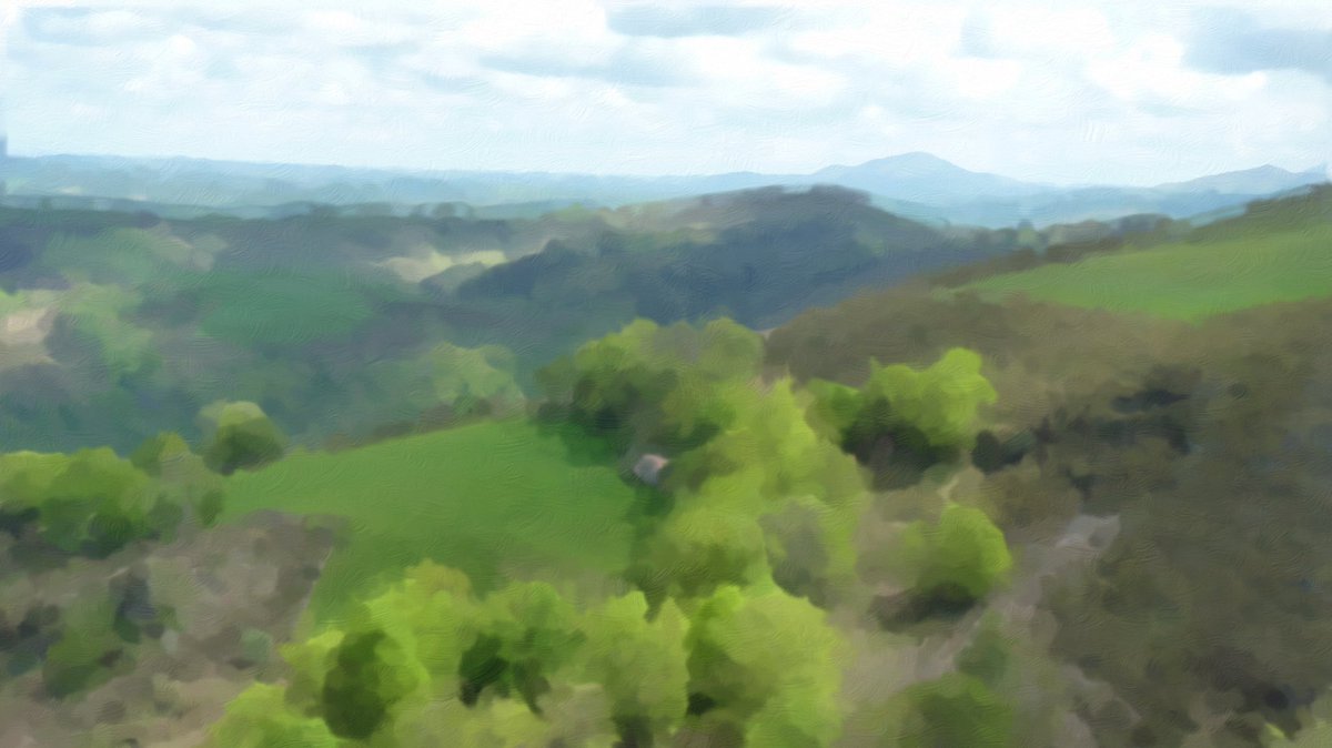 Quand une seule couleur
En contient mille autres -
Nuance de vert

#haiku #paysbasque #nature #meditation #poesie #euskadi