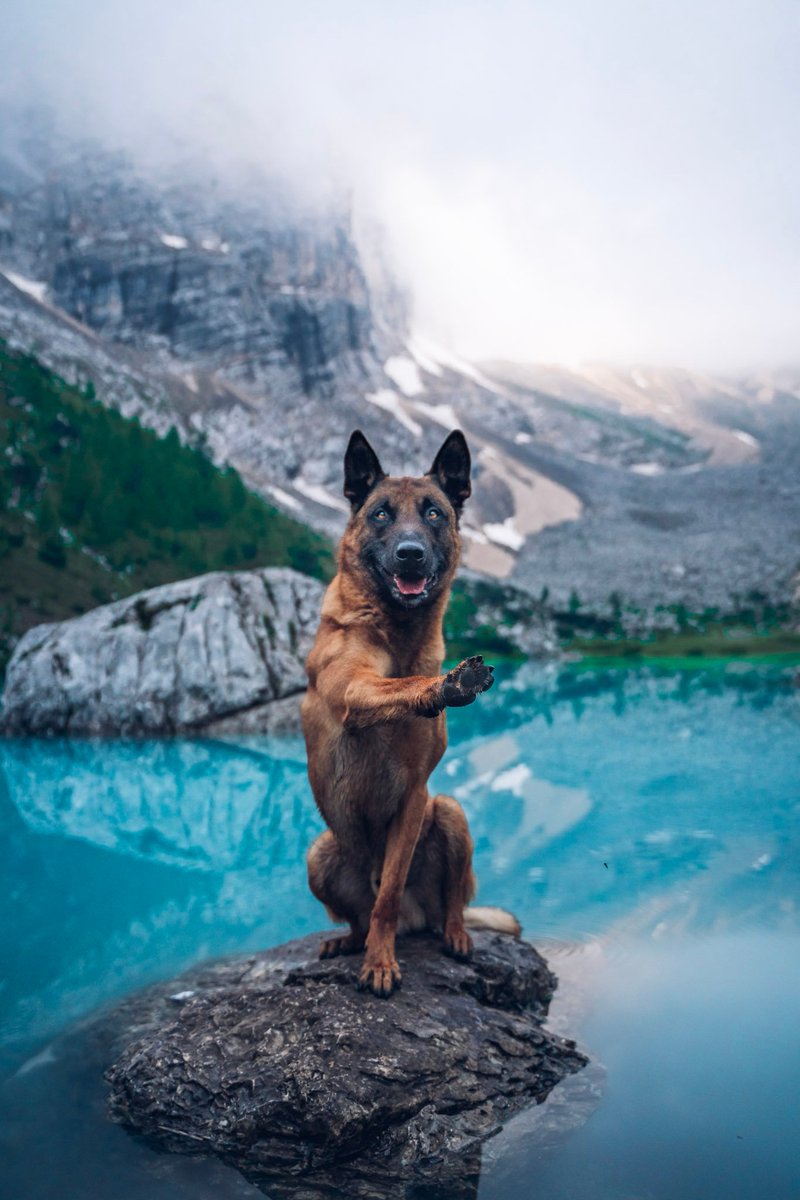 2 Belgian Explorers tweet media