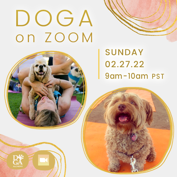 [Online Event] 

Doga on Zoom 
Sunday
02/27/22 
9am-10am pst

Please RSVP b4 start time via the link below:

stephkang.as.me/virtualdoga

- mailchi.mp/ac5a388b008d/e…
