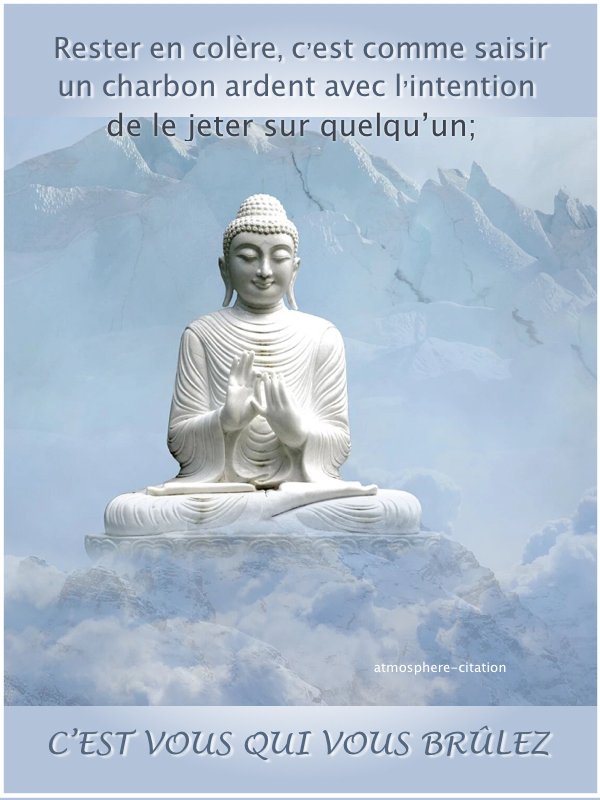 Sebastien Gremont T Co Kwd0fhfedd Twitter