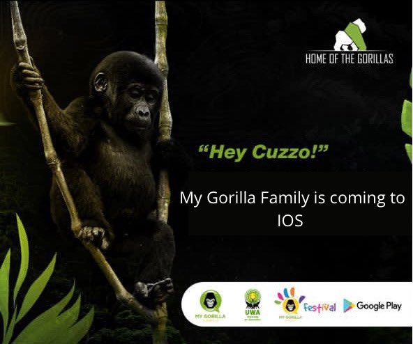 IOS users are you ready for the #mygorillafamily App? We are coming your way soon!