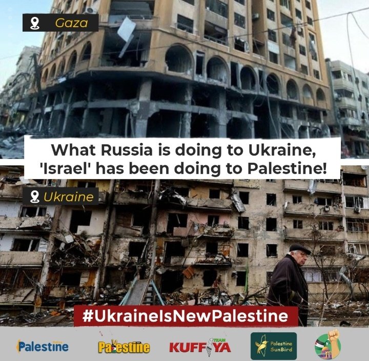 HADEEL NASSAR ✌🇵🇸 #BravePalestine tweet media