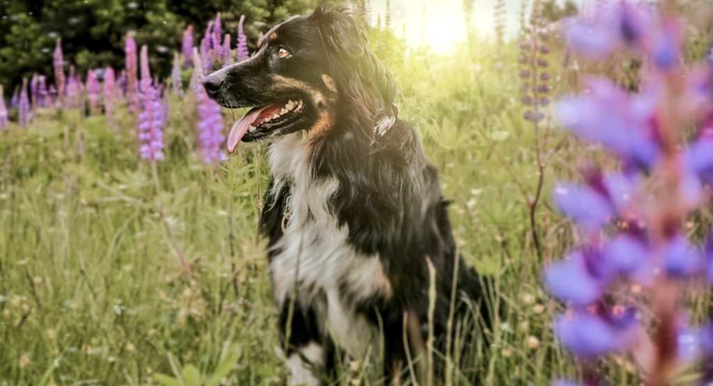 j a c k + k é d a ↟ tweet media