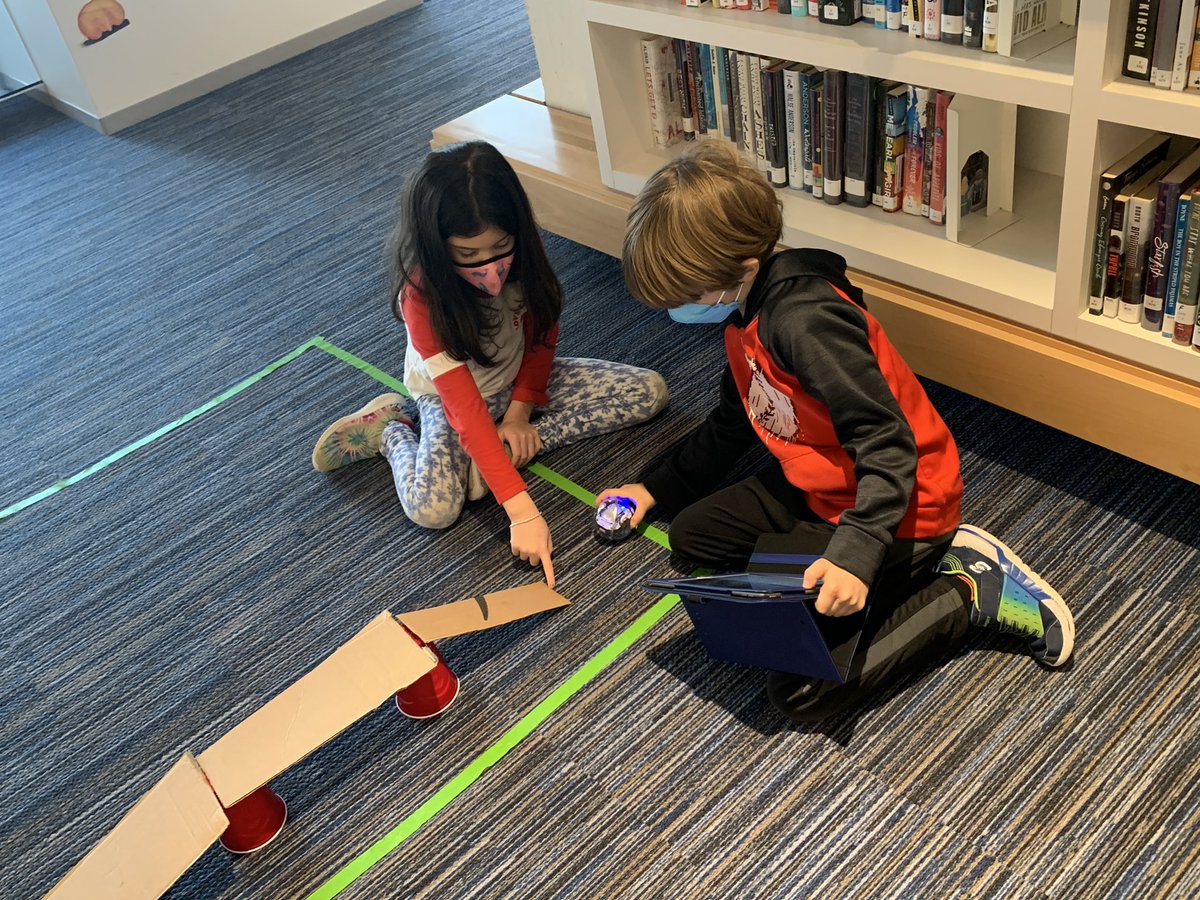 Sarah Beebe tweet media