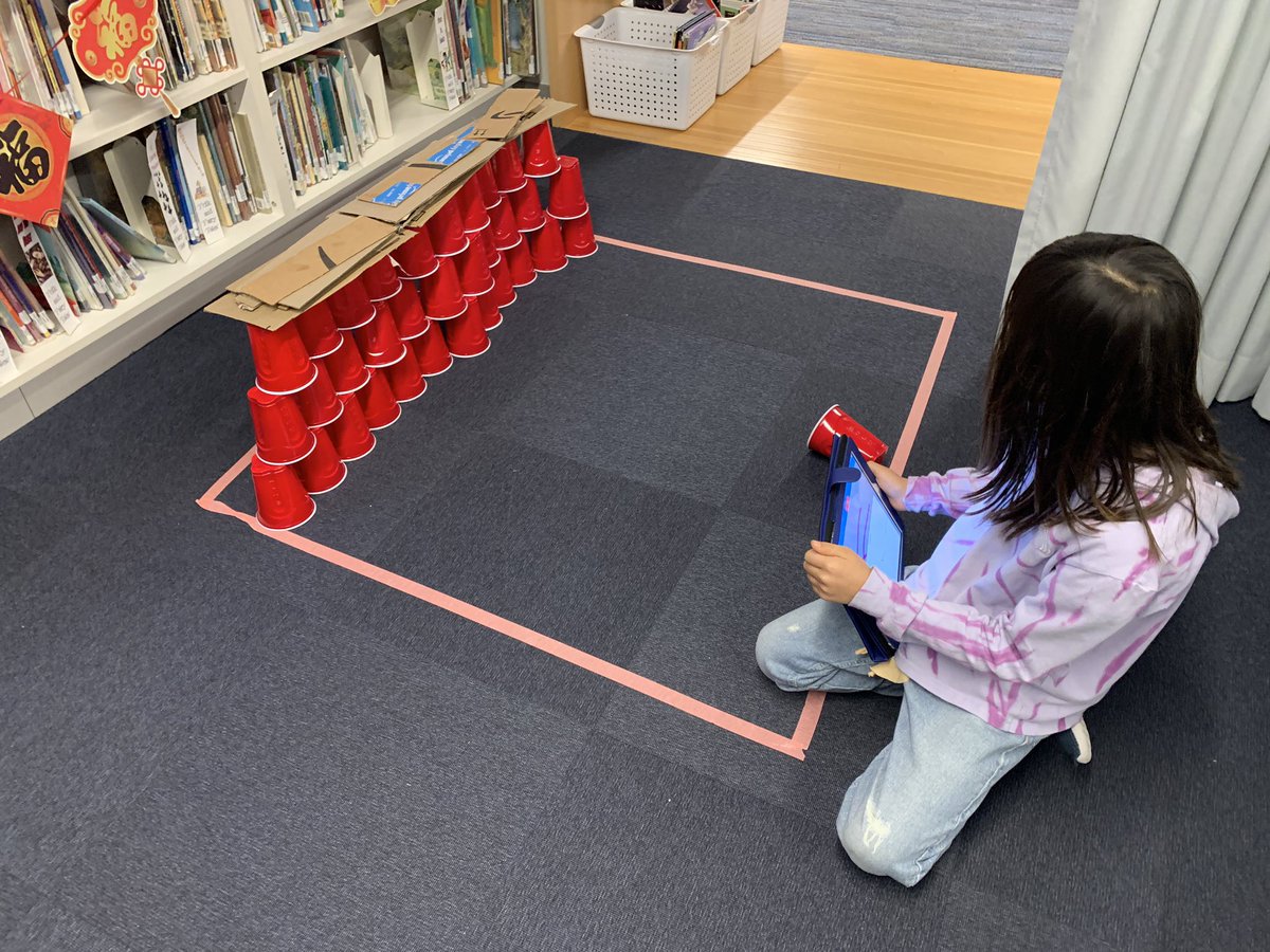 Sarah Beebe tweet media