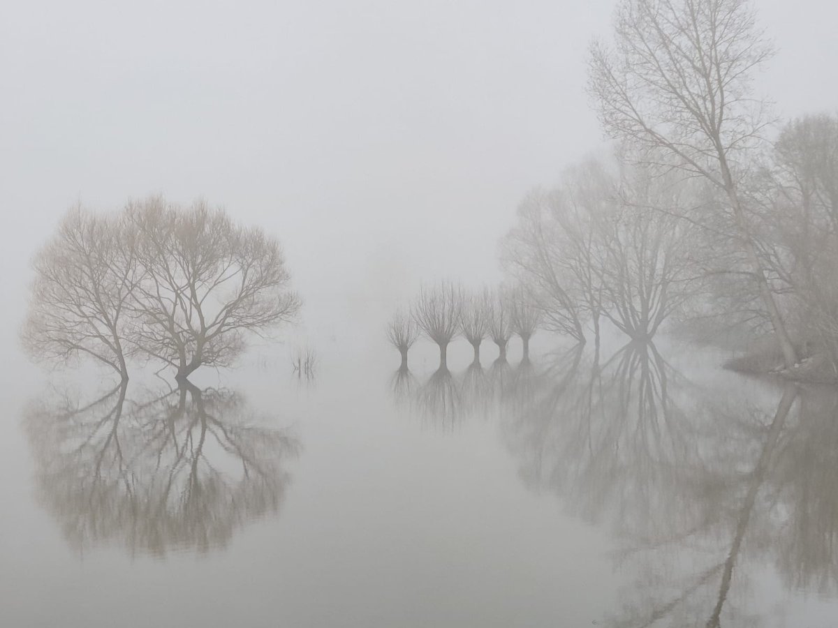 Mist bij de uiterwaarden van de IJssel in Zutphen vanmorgen.