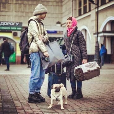 😥 Estalla una guerra, invaden tu ciudad y quieres poner a tu familia a salvo, a tu familia al completo. 
No dudas en poner a tu perro a salvo, ya que, por supuesto, es un miembro más de tu familia, ¿verdad? [....] 
instagram.com/p/CaZ0IojqPw9/…

(Foto: Daniel LEAL / AFP)