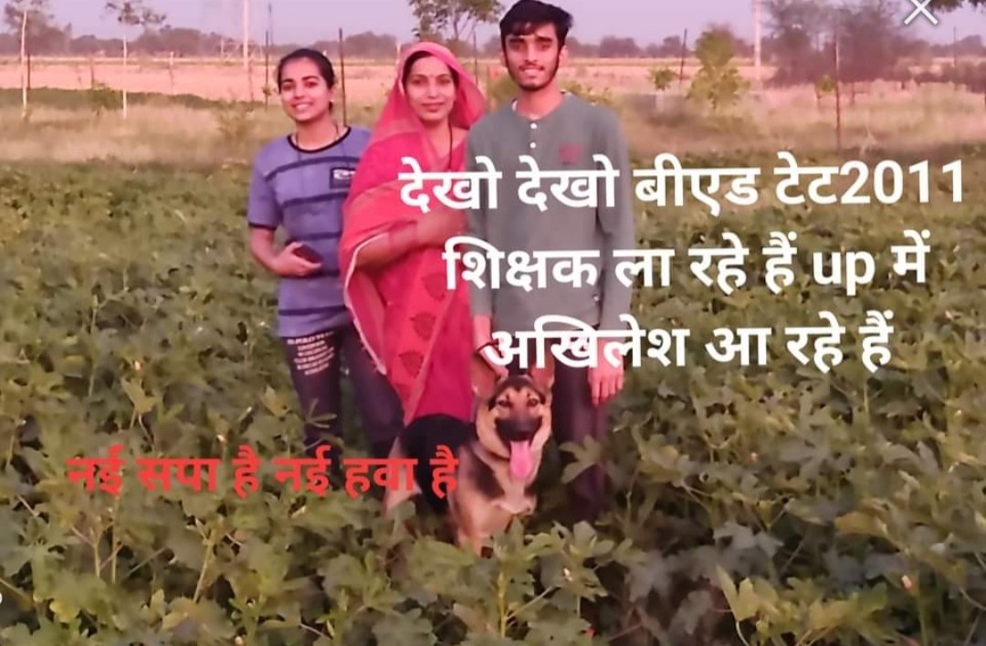 Yadav N.P.🇮🇳=BEdTET2011 tweet media
