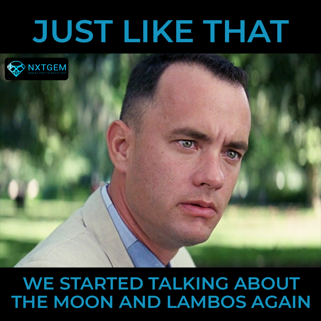 nxtgem_io's tweet photo. When price of cryptos goes high 😅

#Motivationalquotes #Cryptomemes #Memes #Investing #Crypto #Blockchaingame #Cryptocurrency #Cryptonews #Bitcoin https://t.co/5mYqCNuBud