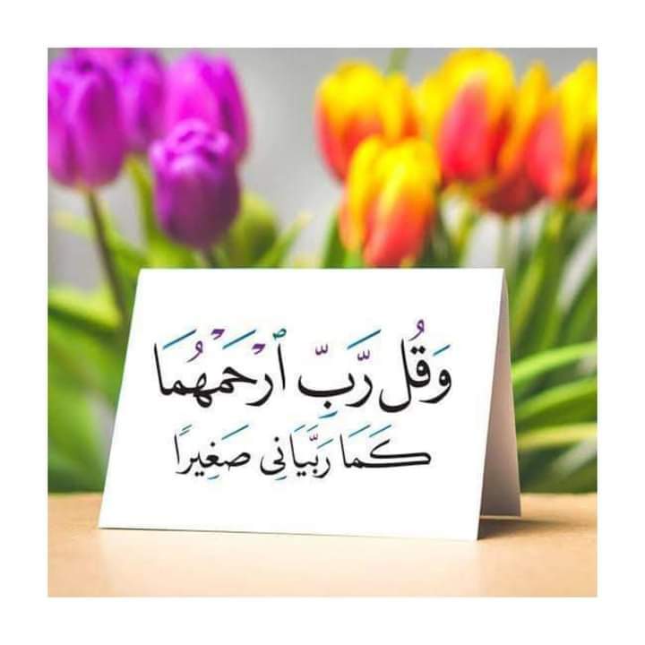 be nam Shehzadi tweet media