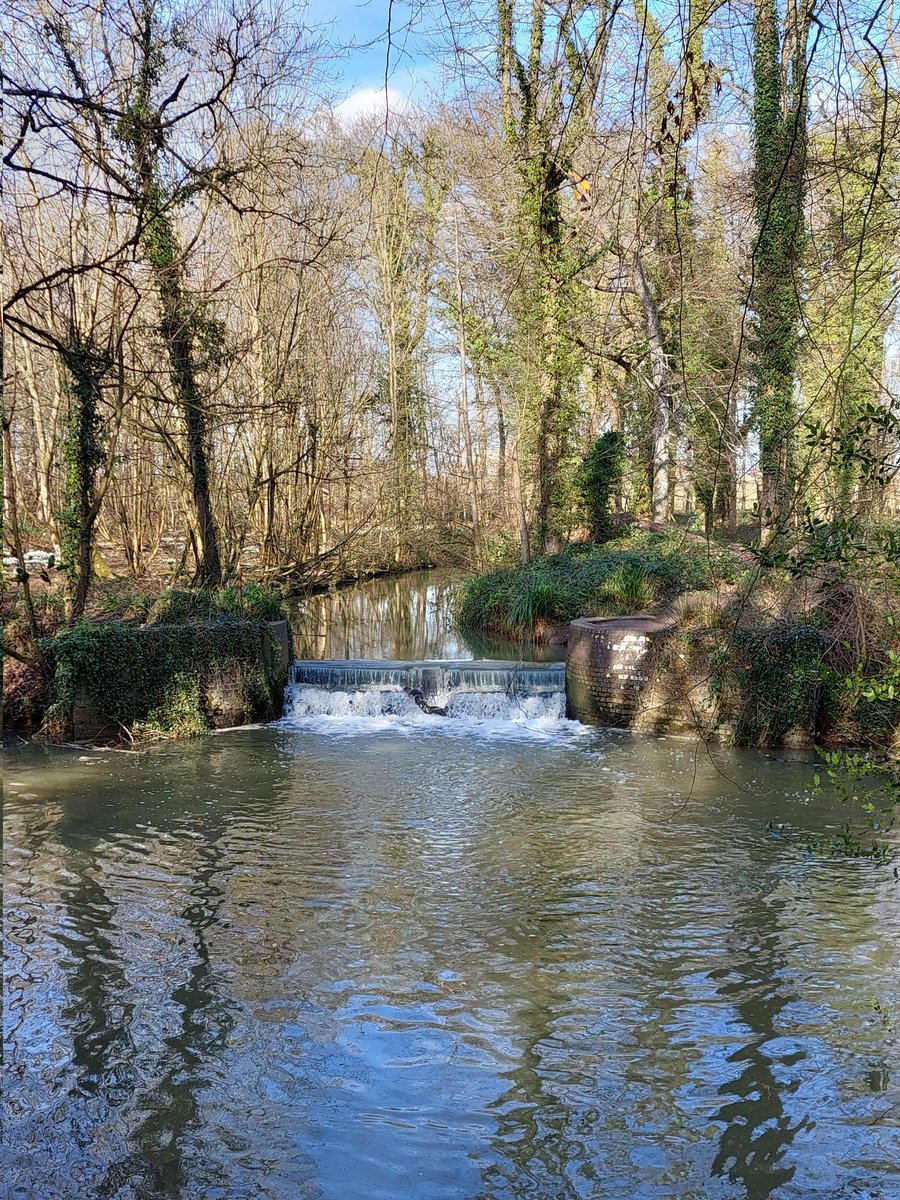 inspiredcov's tweet photo. A beautiful, sunny afternoon at #coombeabbey. ☀️

#coombeabbeypark #Coventry #lovecov #covhour https://t.co/V1zHm9wFzM