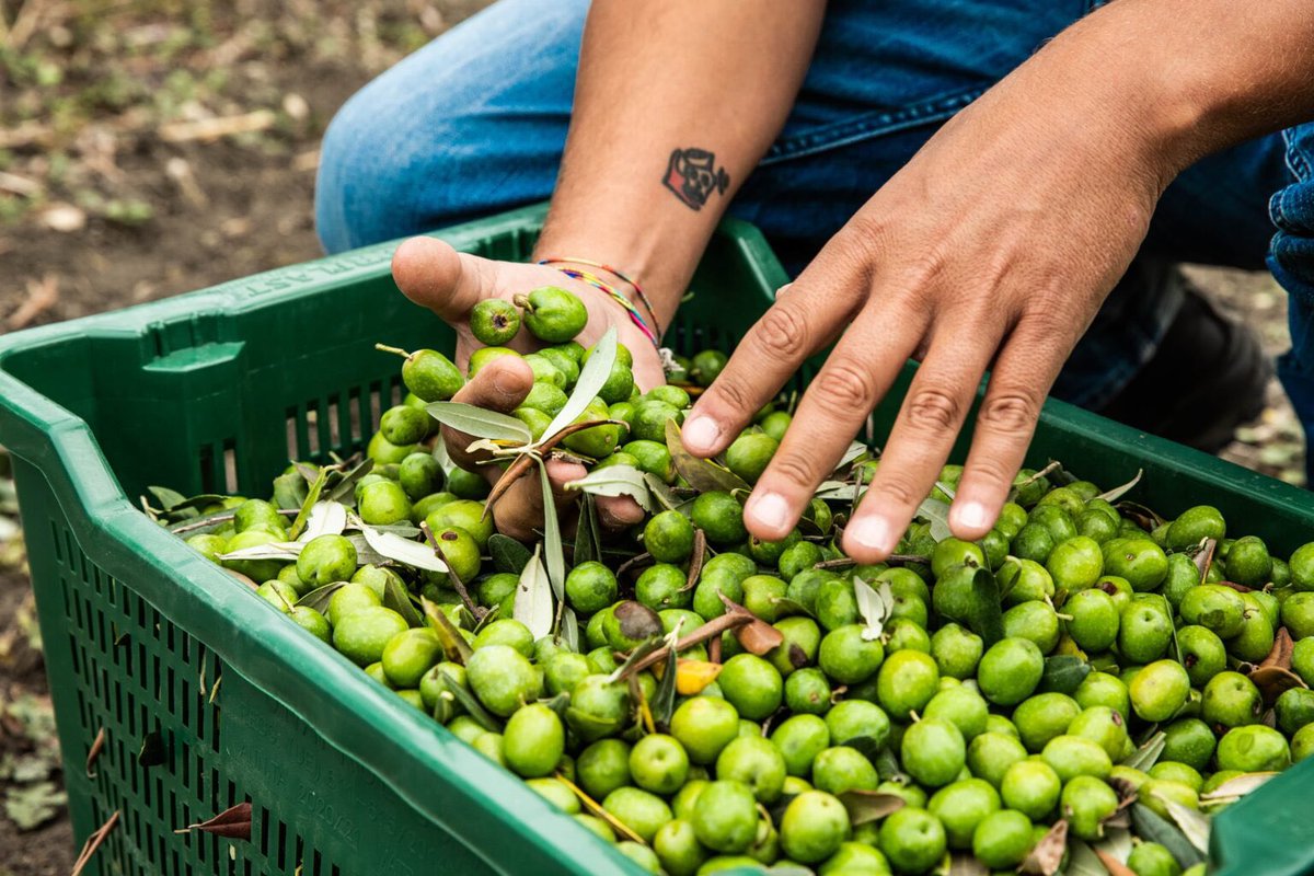 Excellence Magazine tweet media