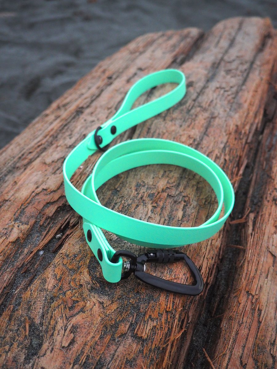 Someone help me learn how to Twitter!?  

Got some product shots of the new color Sea Foam! How perfect is this leash? 

#dogsoftwitter #instadog #twitterdogcommunity #biothane #westcoastcollarz #SmallBusinessSaturday