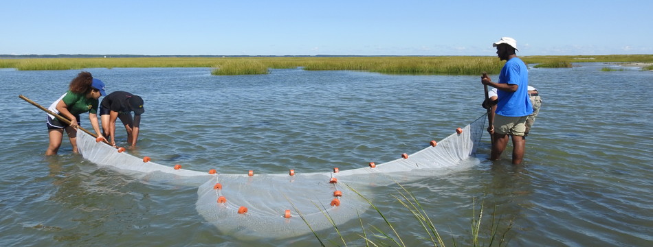 VSloanBoulder's tweet photo. Hampton University is seeking applicants for a 2-yr, fully-funded Master's program in the Marine and Env. Sci. Dept. including a summer internship at NOAA. Contact Deidre Gibson at deidre.gibson@hamptonu.edu for more info. She rocks! @BlackinMarSci  https://t.co/H3ac4sgfgZ https://t.co/BLQ1q1v6aT