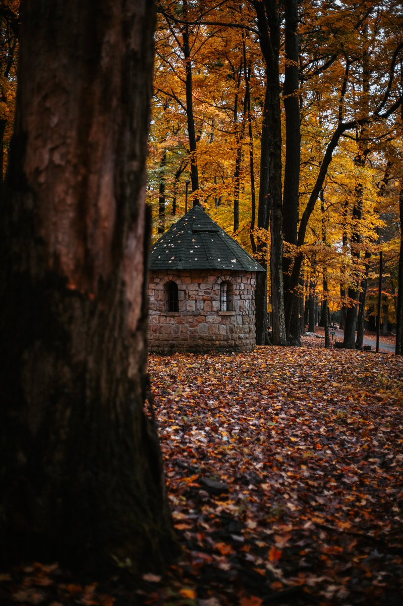 Can we agree on creating a place where it’s fall year around?

#fallvibes #fall #wv #WestVirginia