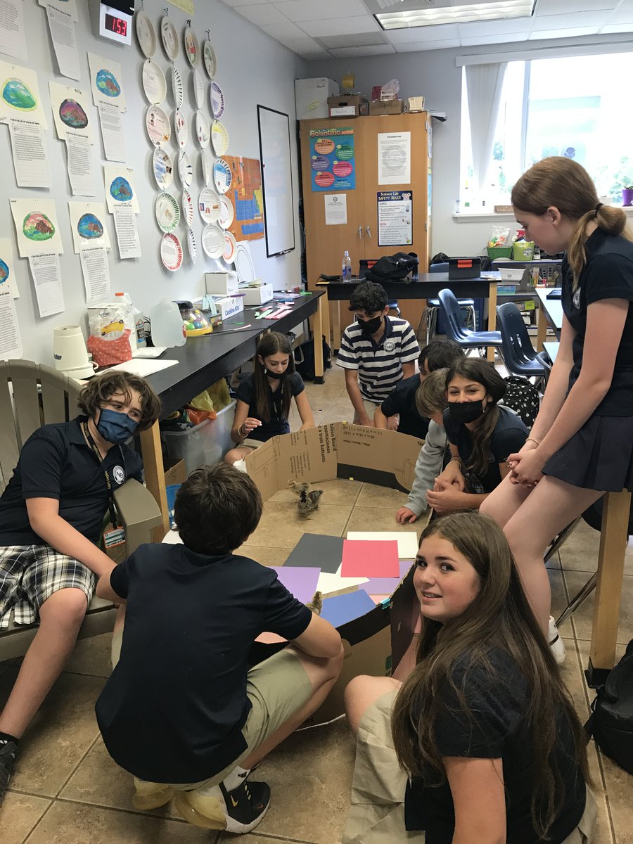 kimhscience's tweet photo. @Hogg_Science #nbpseagles 
Why buy a fence when you can design and build one
@Hogg_Science  (pictures added) https://t.co/IbmrXsa7BB