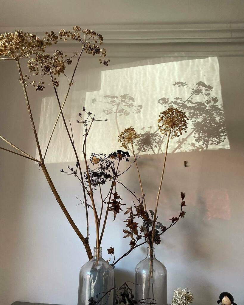 Sometimes you just have to look up and there it is, something so beautiful and fleeting, like the sun shining through the front door just at the right moment.