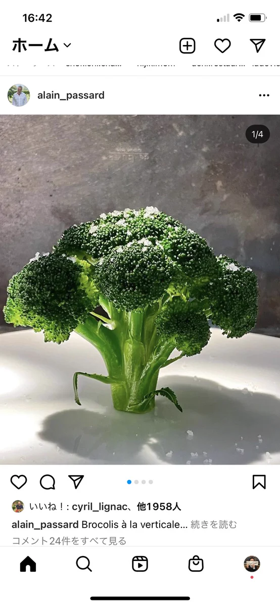 パリの三つ星シェフが？平野レミの感性・料理感に追いつくwww