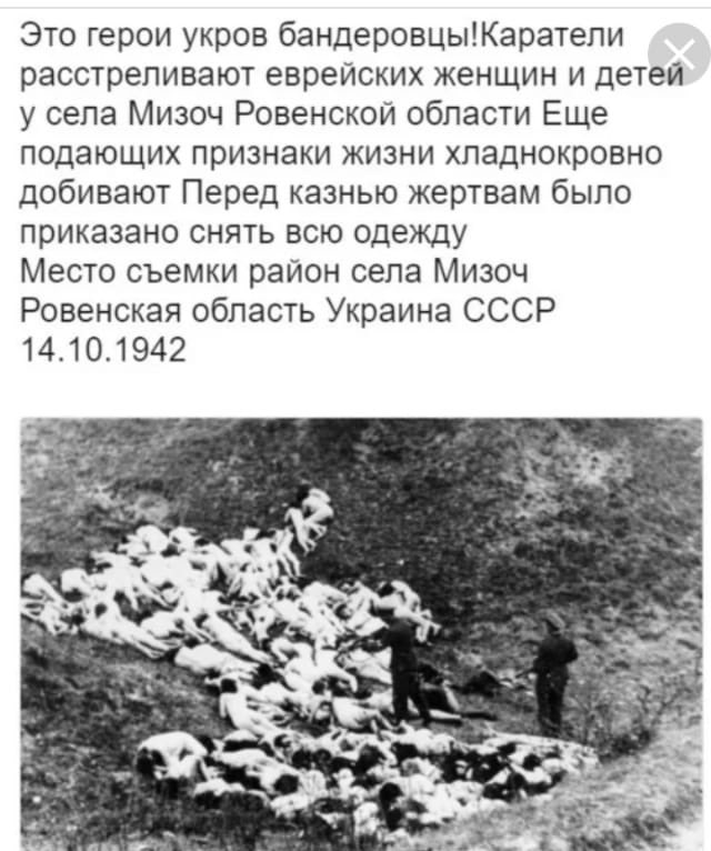 На этом холме жил простой народ. Бандеровцы в 1941 зверства. УПА резня Волынская резня. Зверства фашистов Бабий Яр.